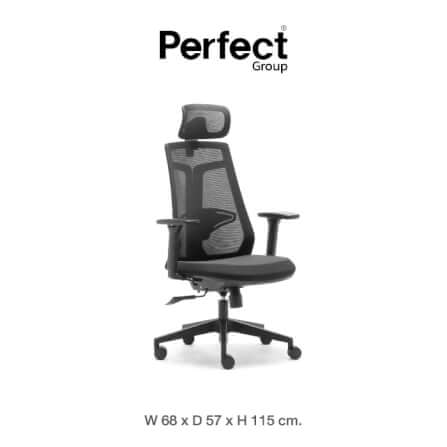 เก้าอี้เพื่อสุขภาพ Perfect รุ่น 6230A สีดำ_0